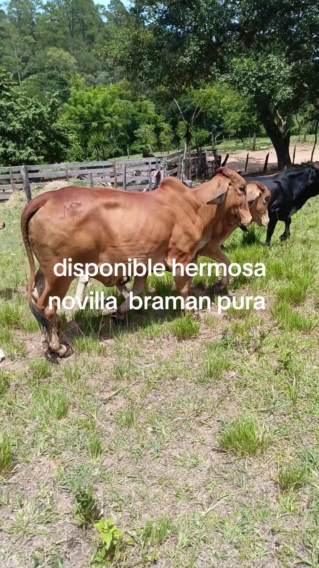 @maykel Mej&iacute;a