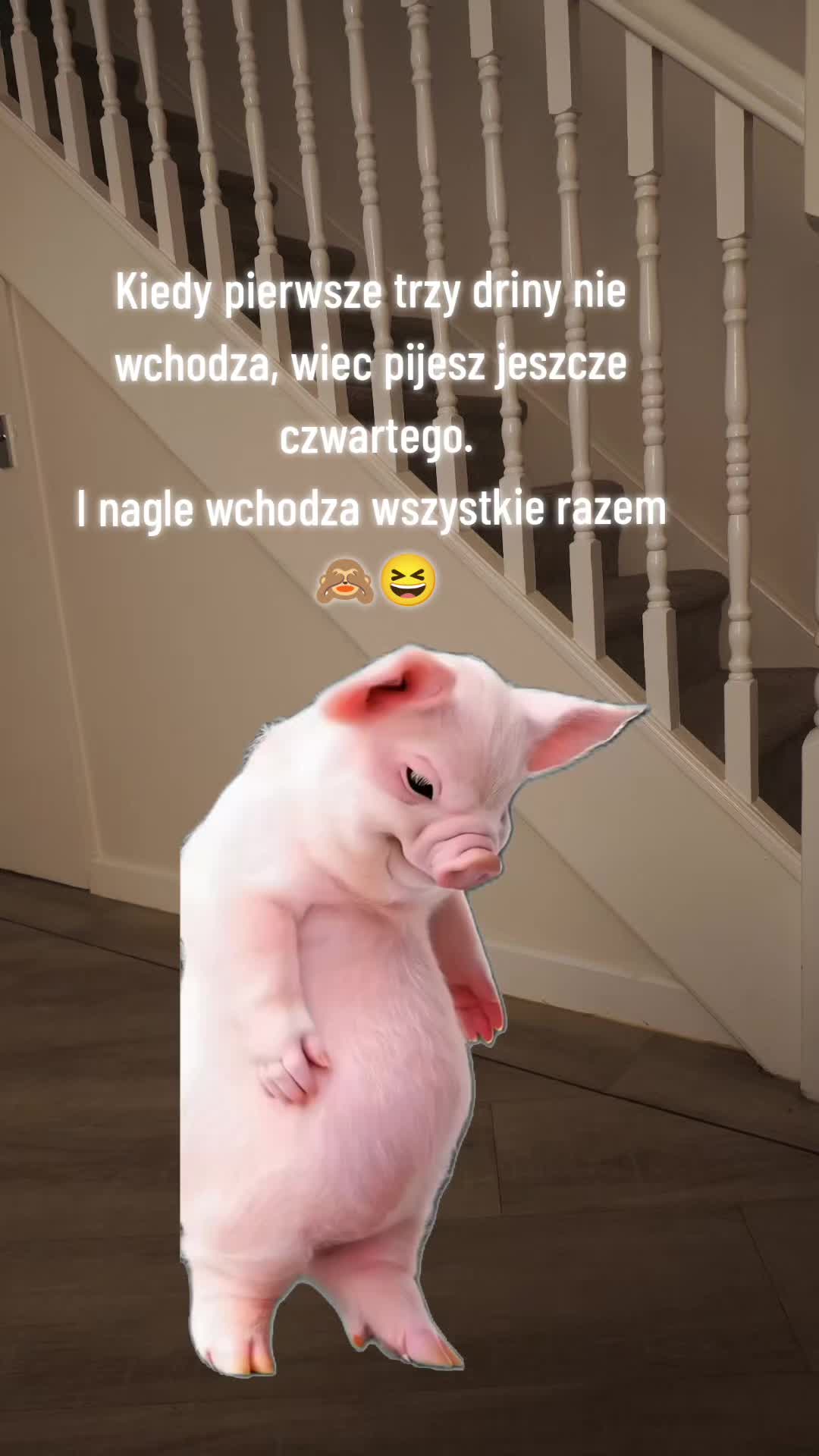 @Ewa 🇵🇱🇬🇧🚛