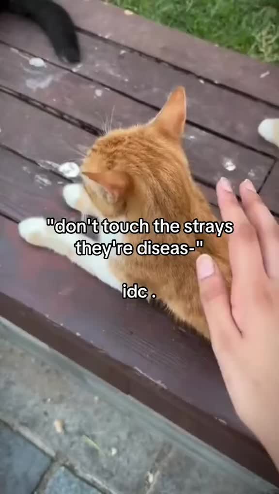 @𝒂𝒎𝒊𝒏𝒂𝒉˚˖🧣⚔️ ྀིྀིྀིྀིྀི