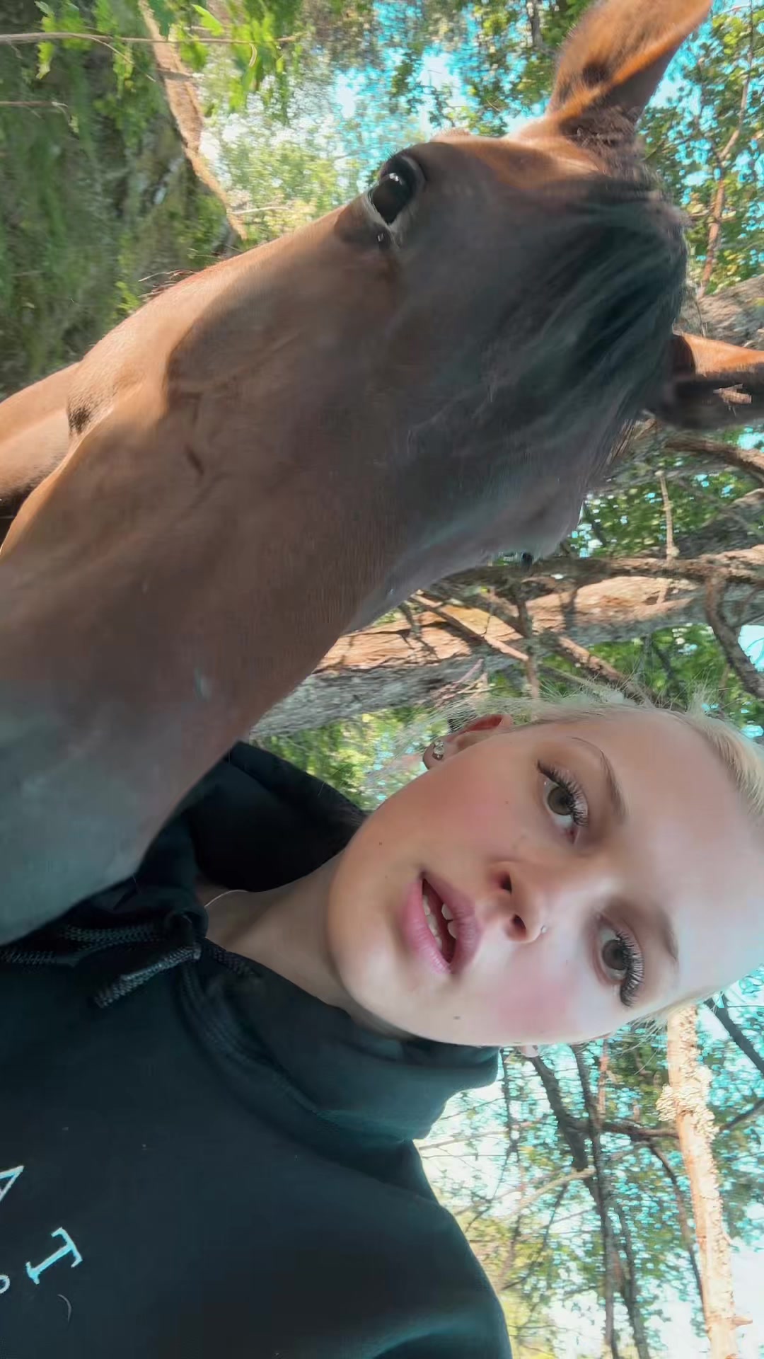 @✨Nova Franz&eacute;n Olsson ✨