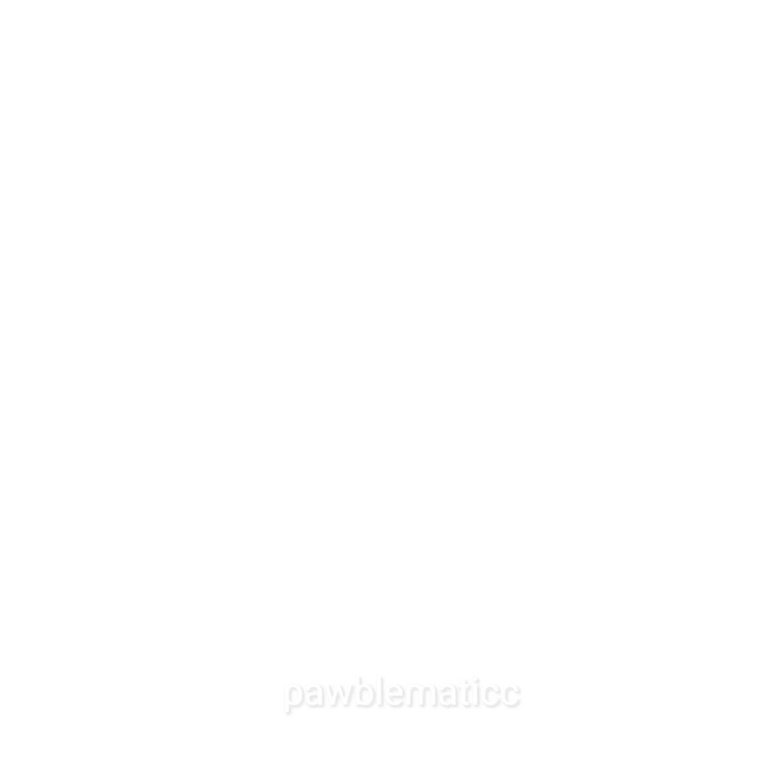 @◝ ⩊ ◜ ⸝ 𝗠𑄝υυ
