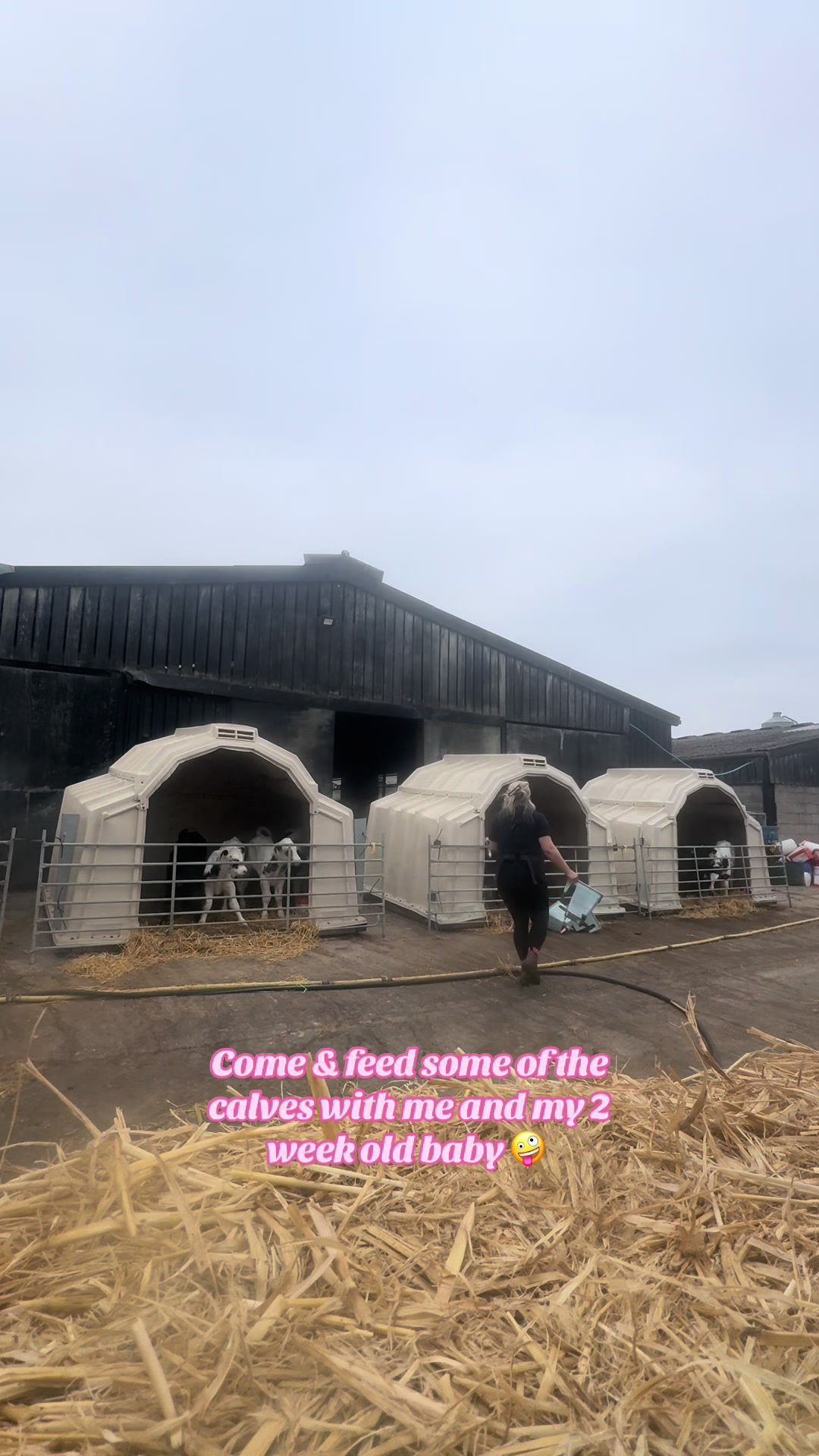 @Life On The Farm - Cheshire