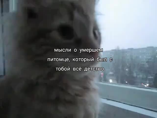 @миркк