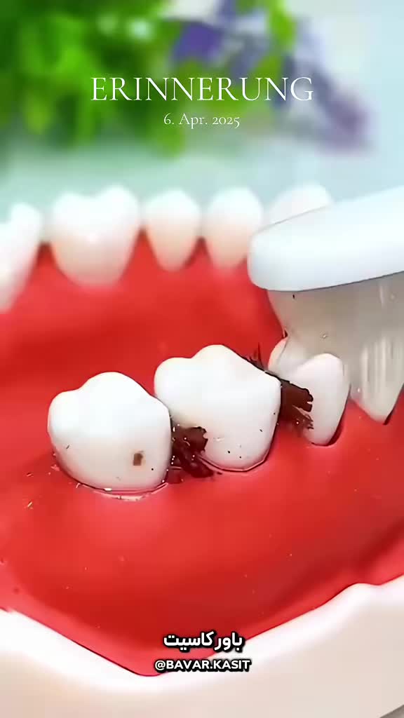 @bavar__kasit__1