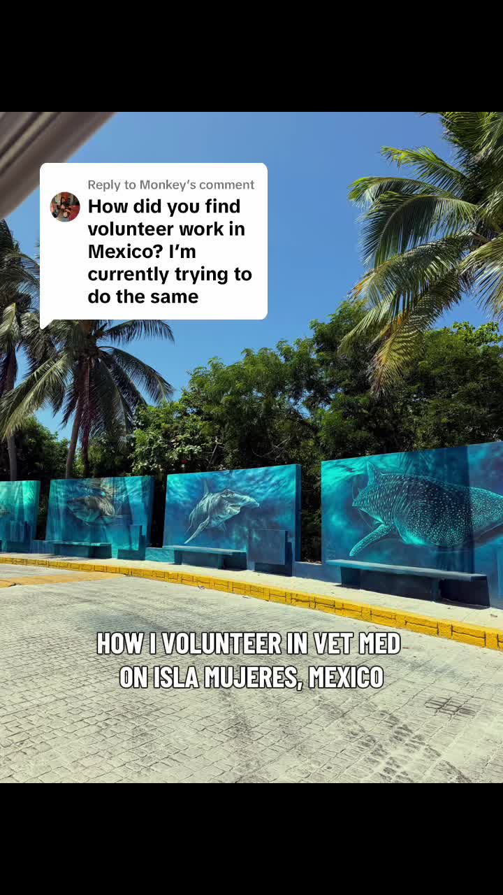@heyamigainvetschool