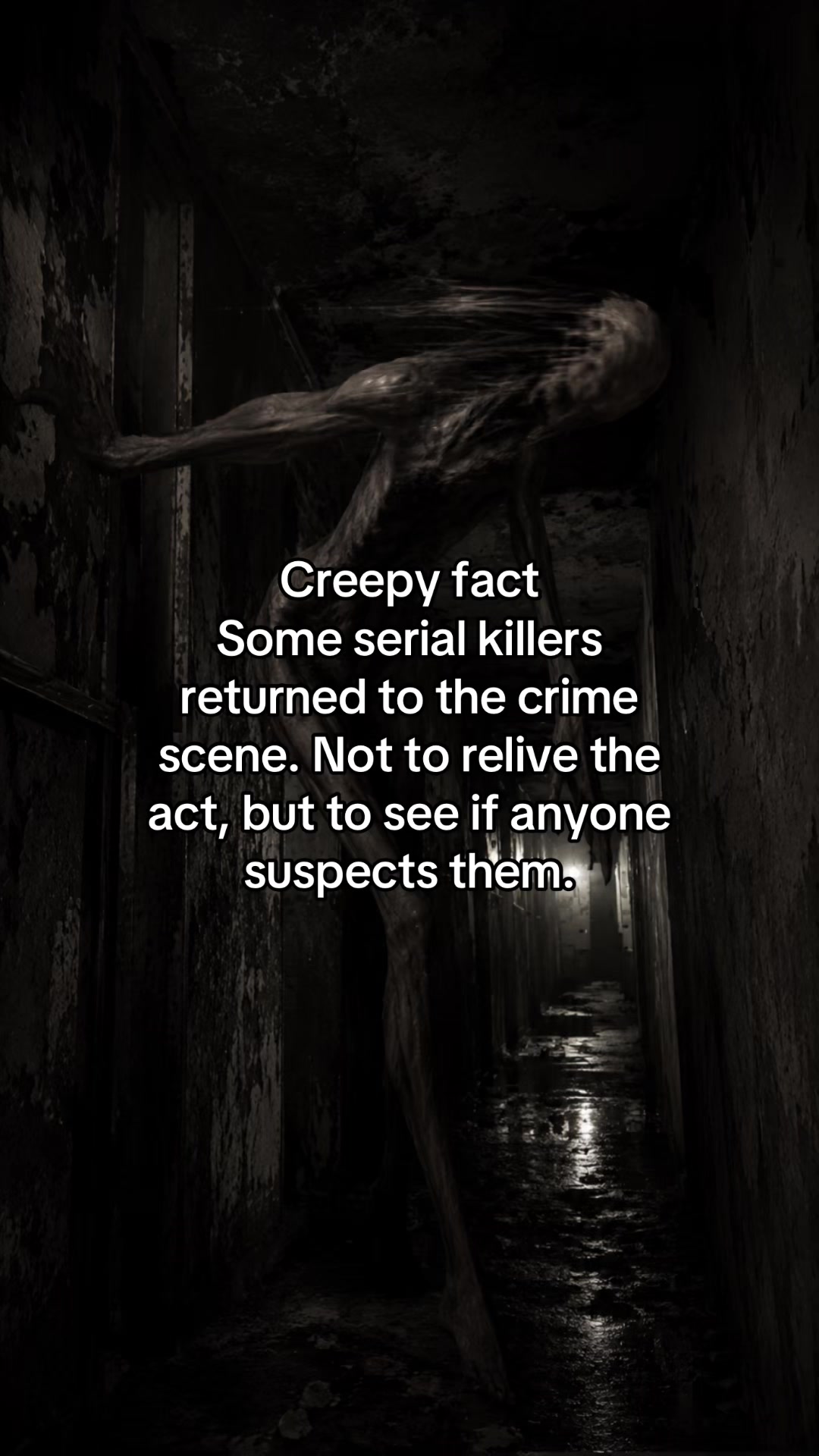 @MaliciousMeerkat