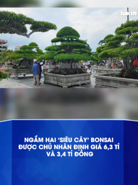 @Báo Tuổi Trẻ
