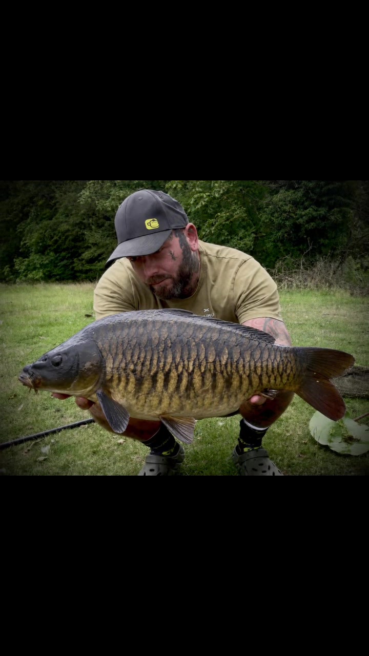 @Ian bank rat davies