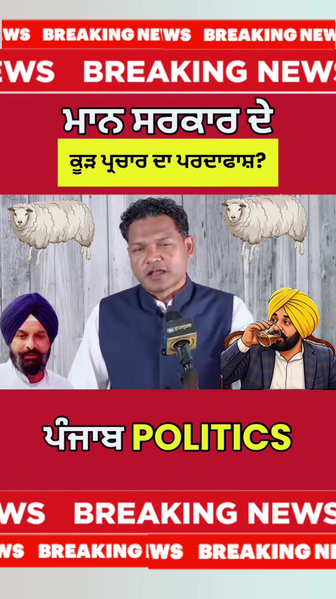 @ਮੌਜੀ (all rounder)