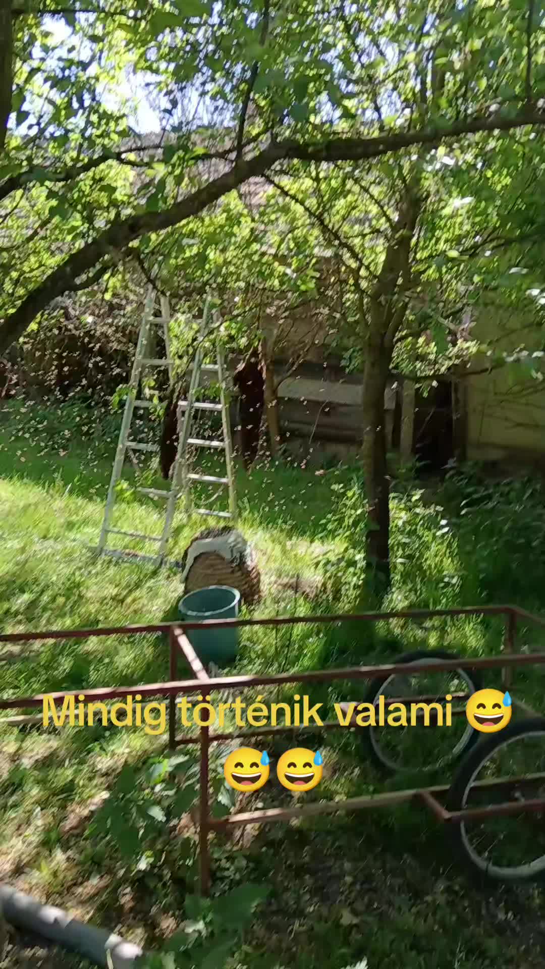 @J.E.Nikica