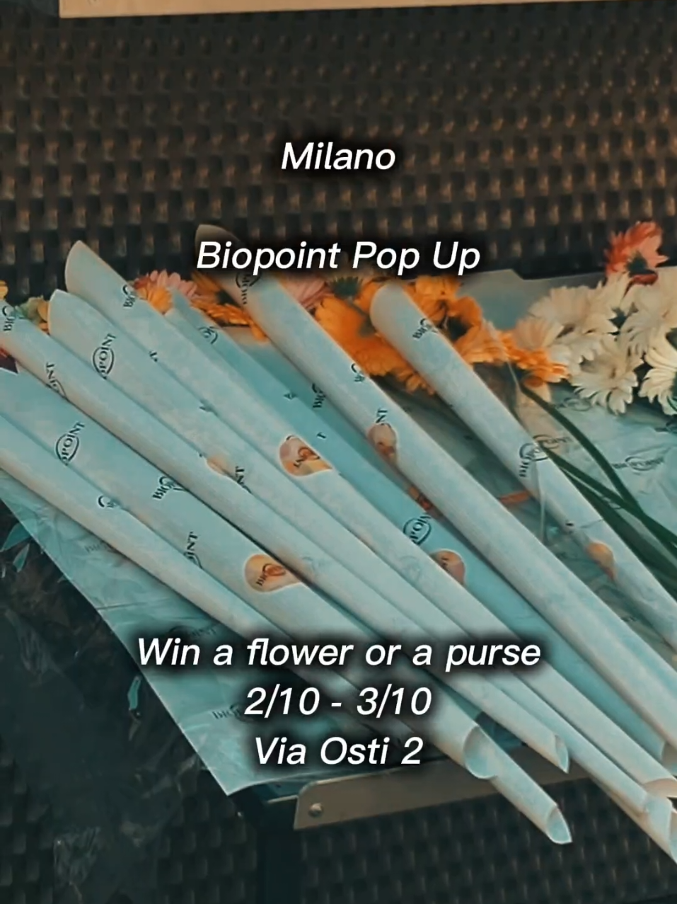 @Milano This Week