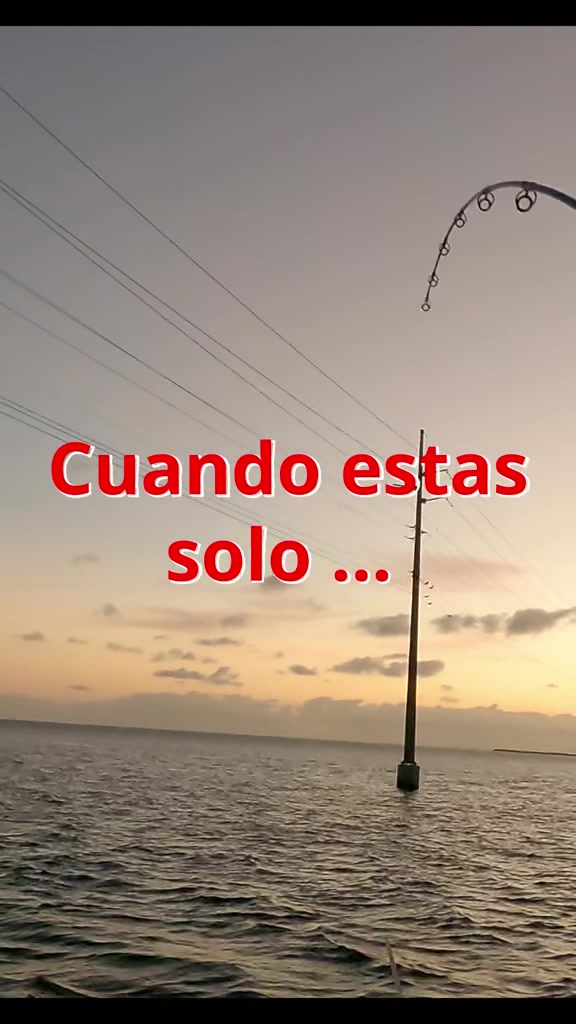 @Raul-Raul