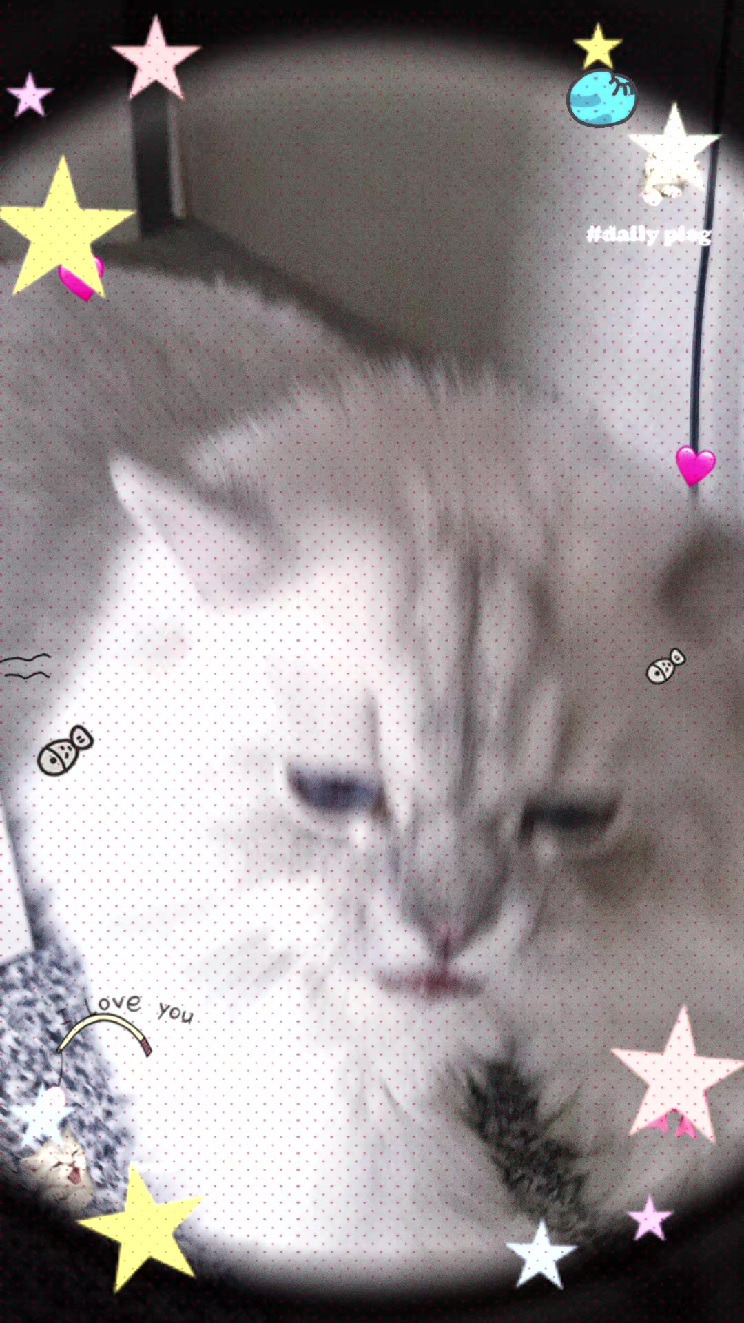 @ํํ์๐