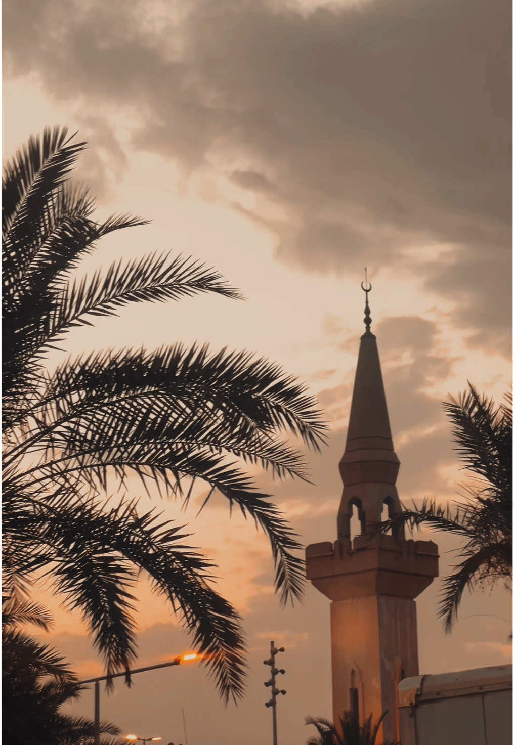 @Hanan 🕊️