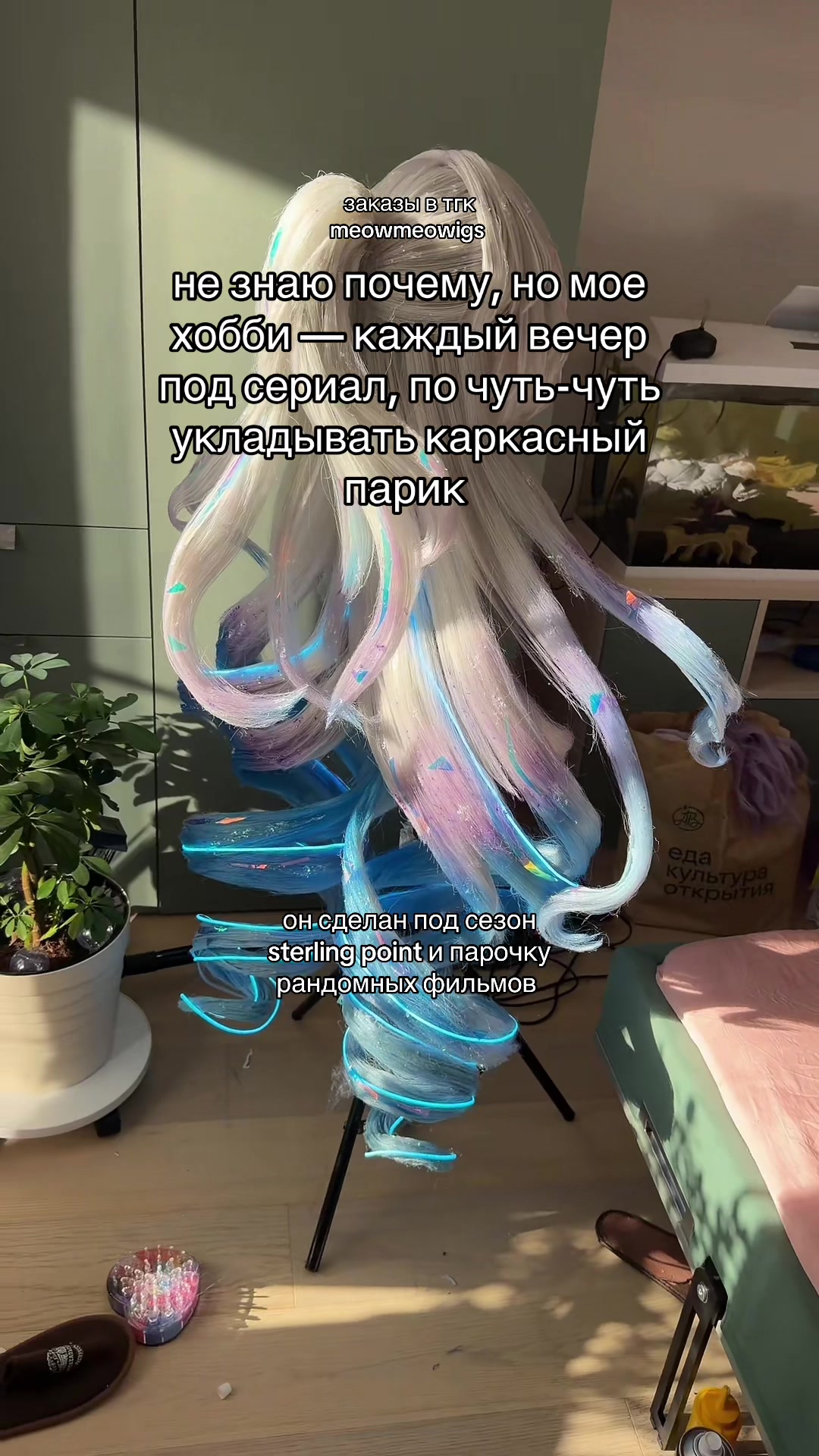 @тгк vivien & meowmulia˚✧₊