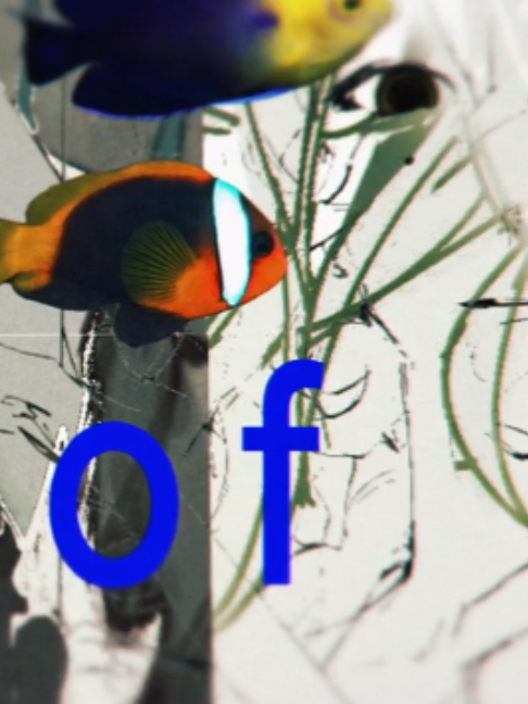 @๐๐๐๐๐๐๐๐ โฐ