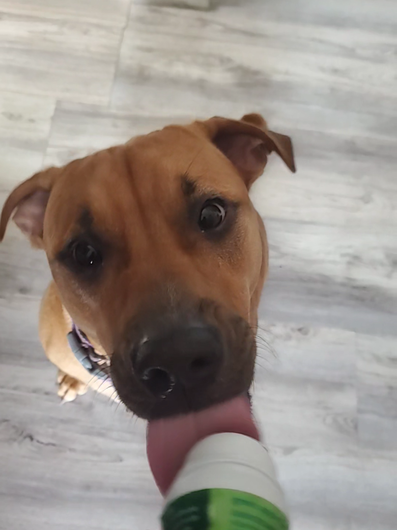 @Kane the friendliest Pit
