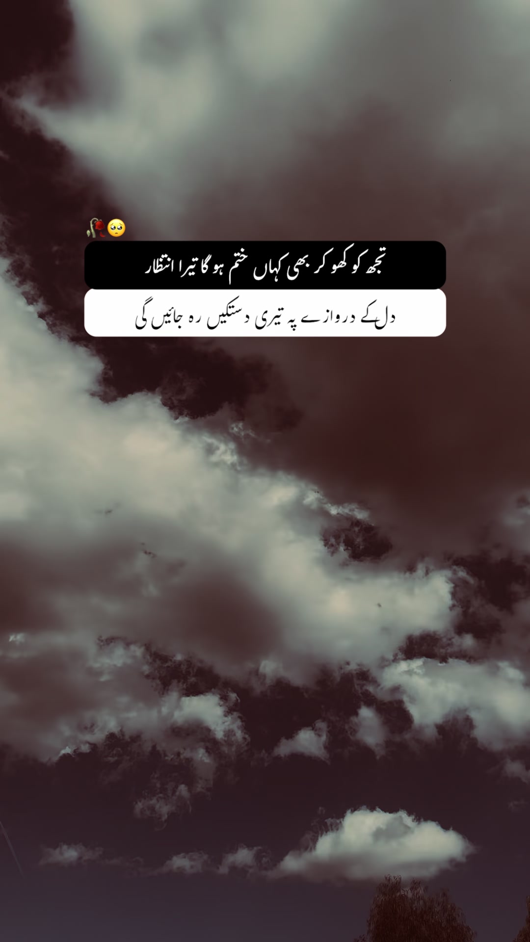 @𝐖𝚯𝐋𝐅 🐺