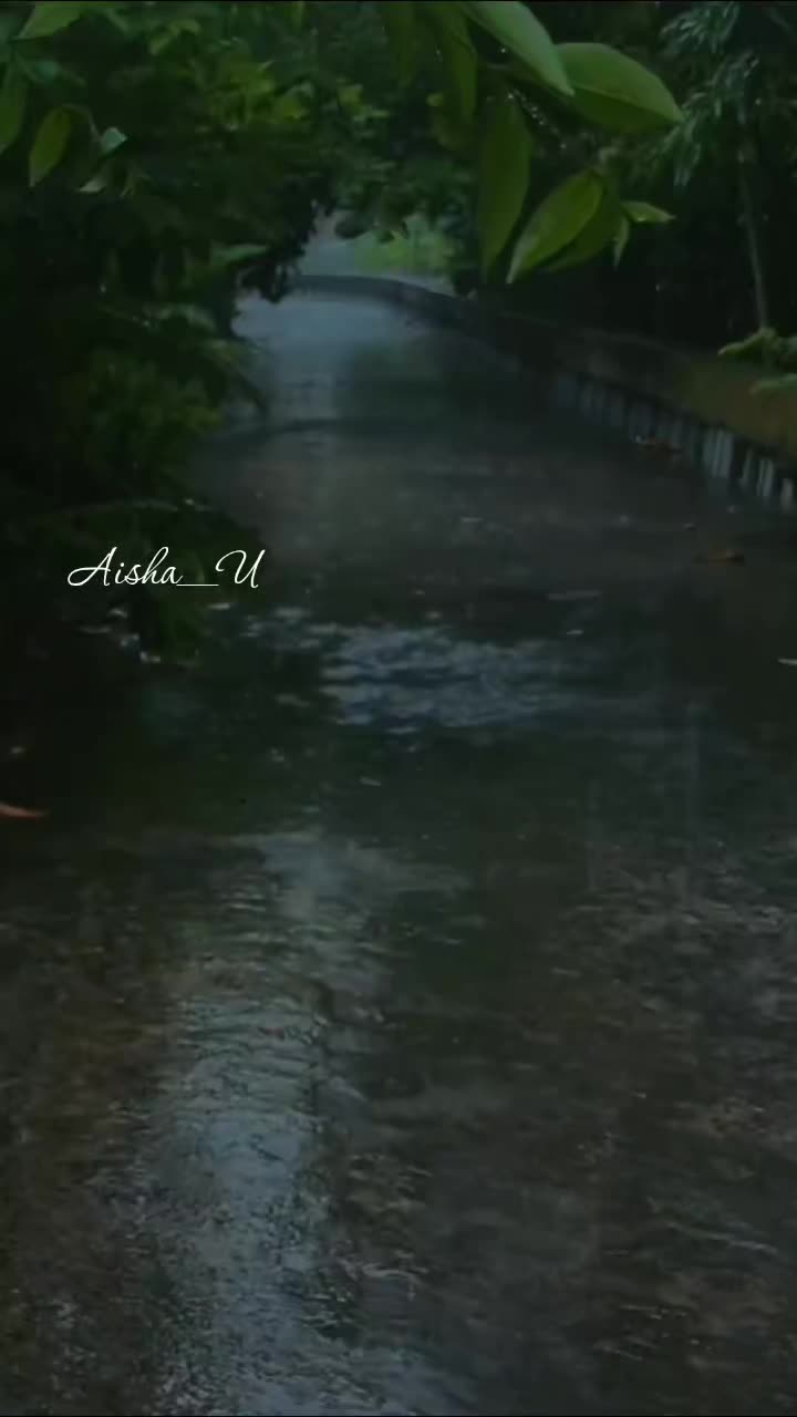 @Aisha_U