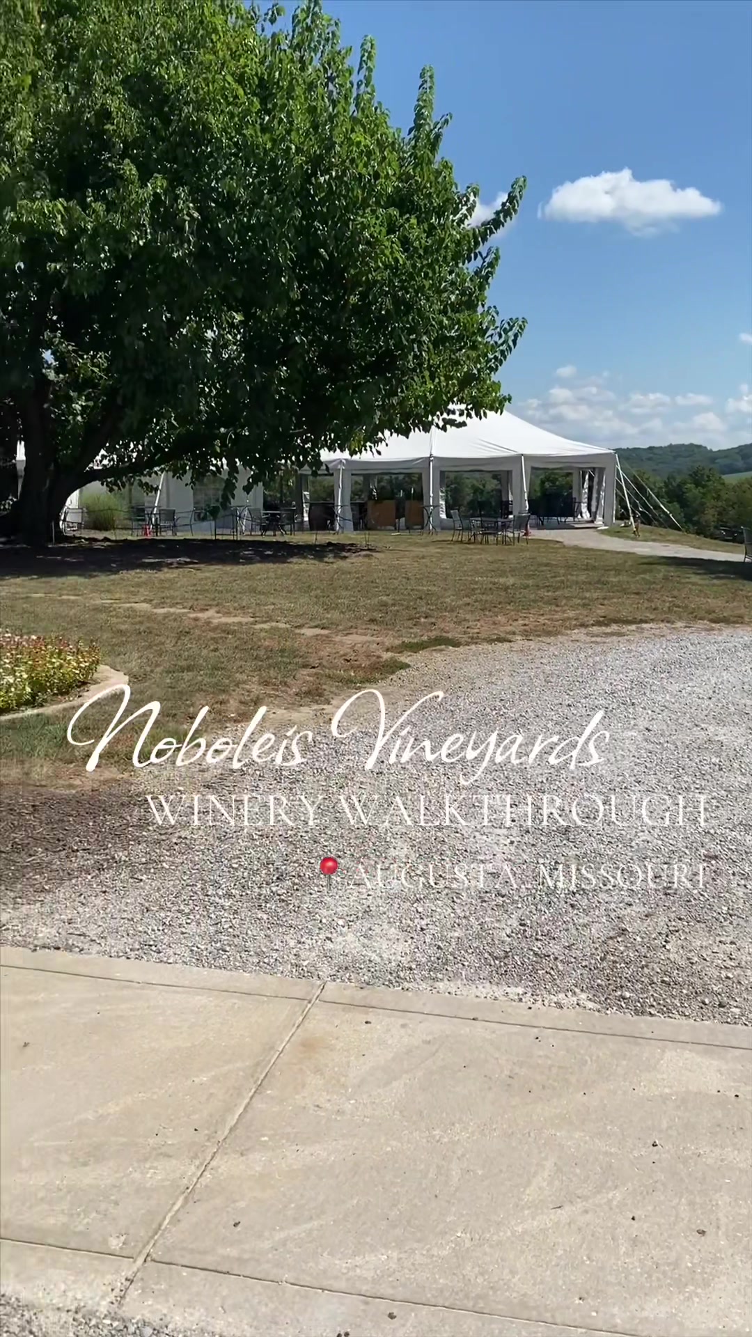 @Missouri Wines