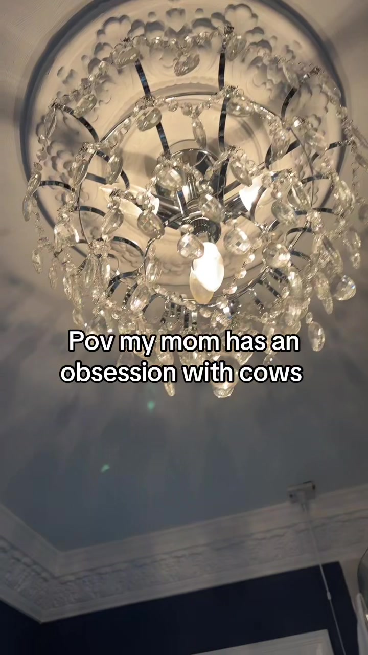 @hannah douglas