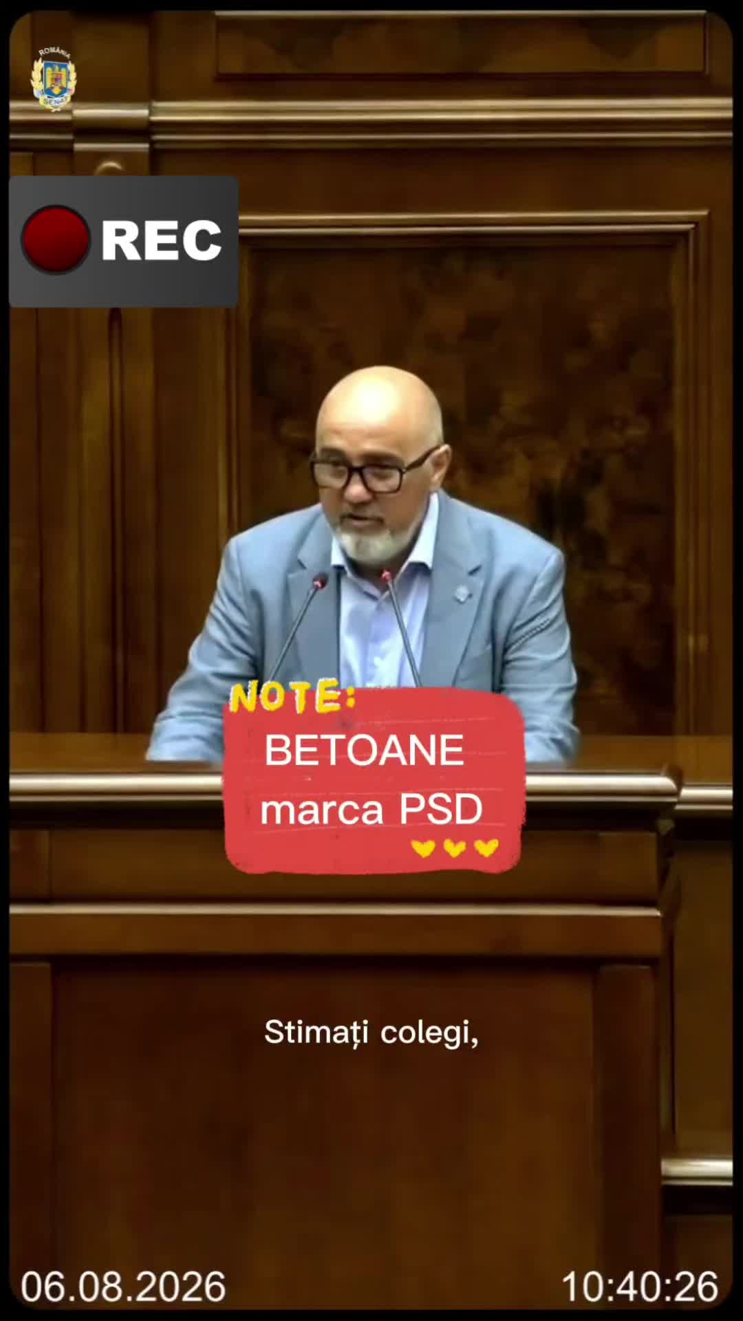 @George Stefanache