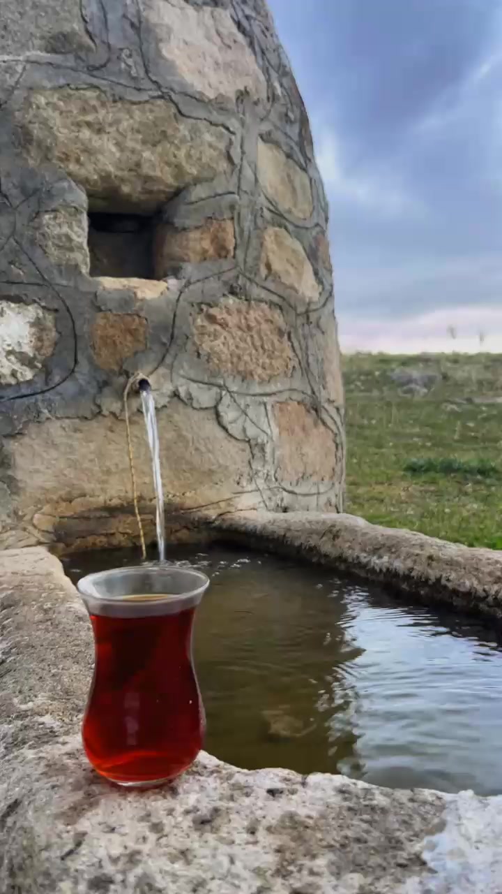 @Basoglu