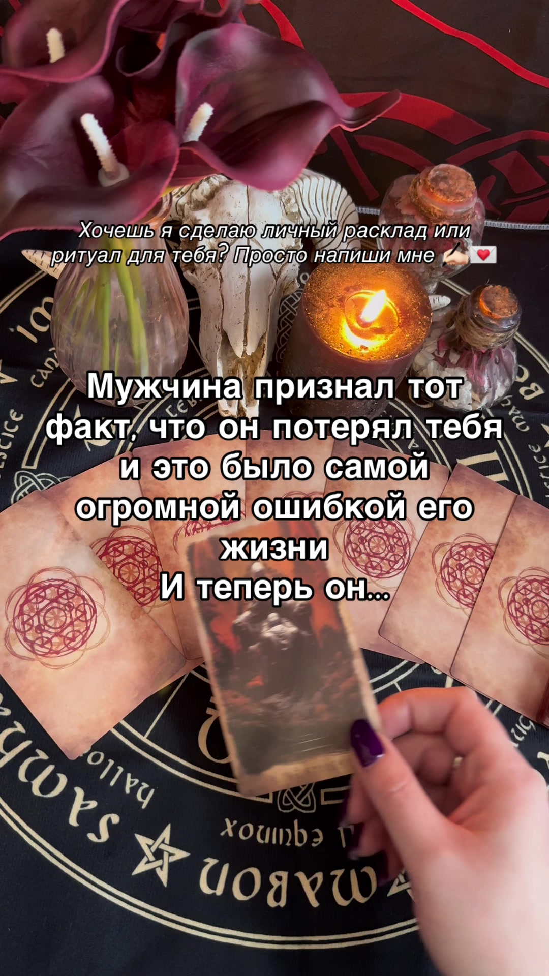@Oksi_fox