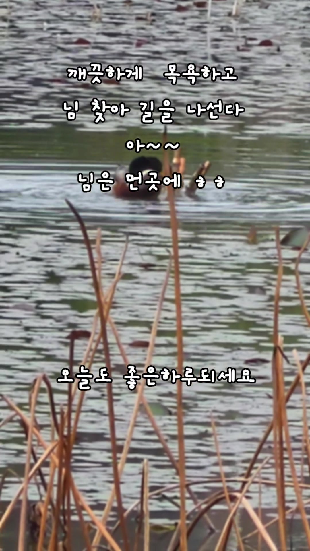 @✨️ 범수생각 ✨