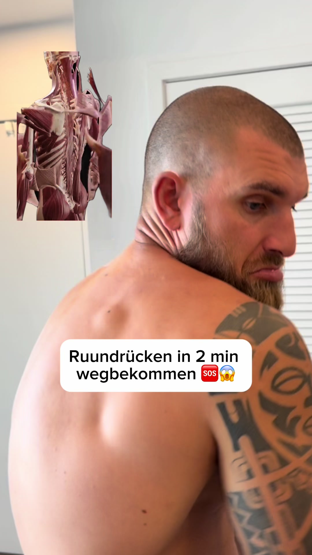 @Mr.High Level- Roll&rsquo;s weg
