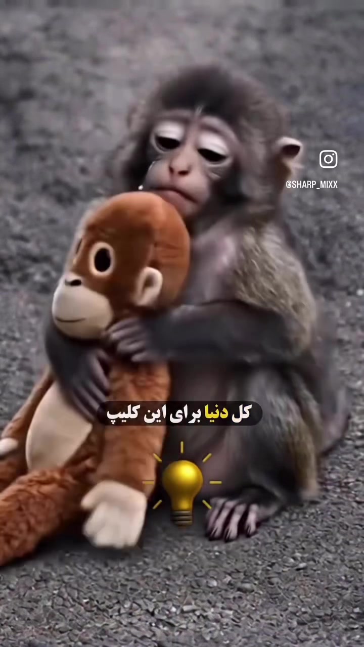 @gulchekhra234