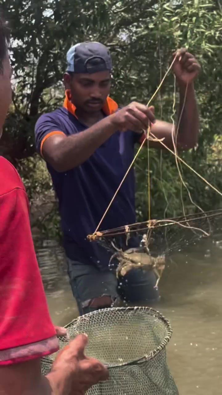 @Dhanji Charaniya
