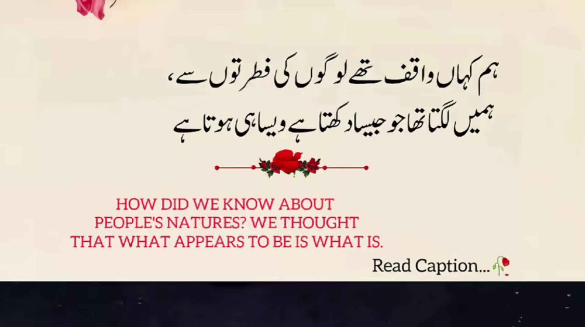 @zulfiqarzaka