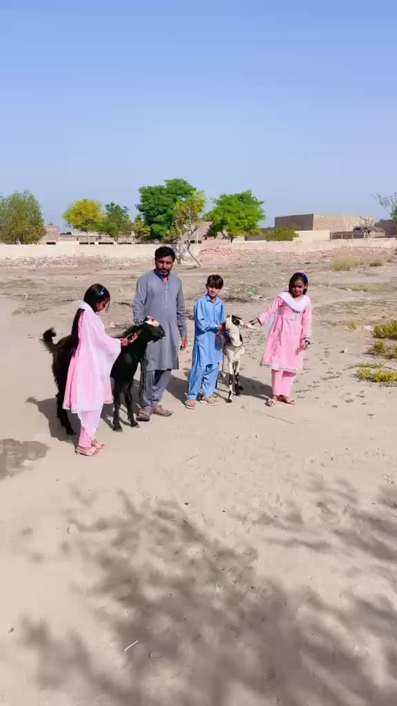 @judwaa vlog 5