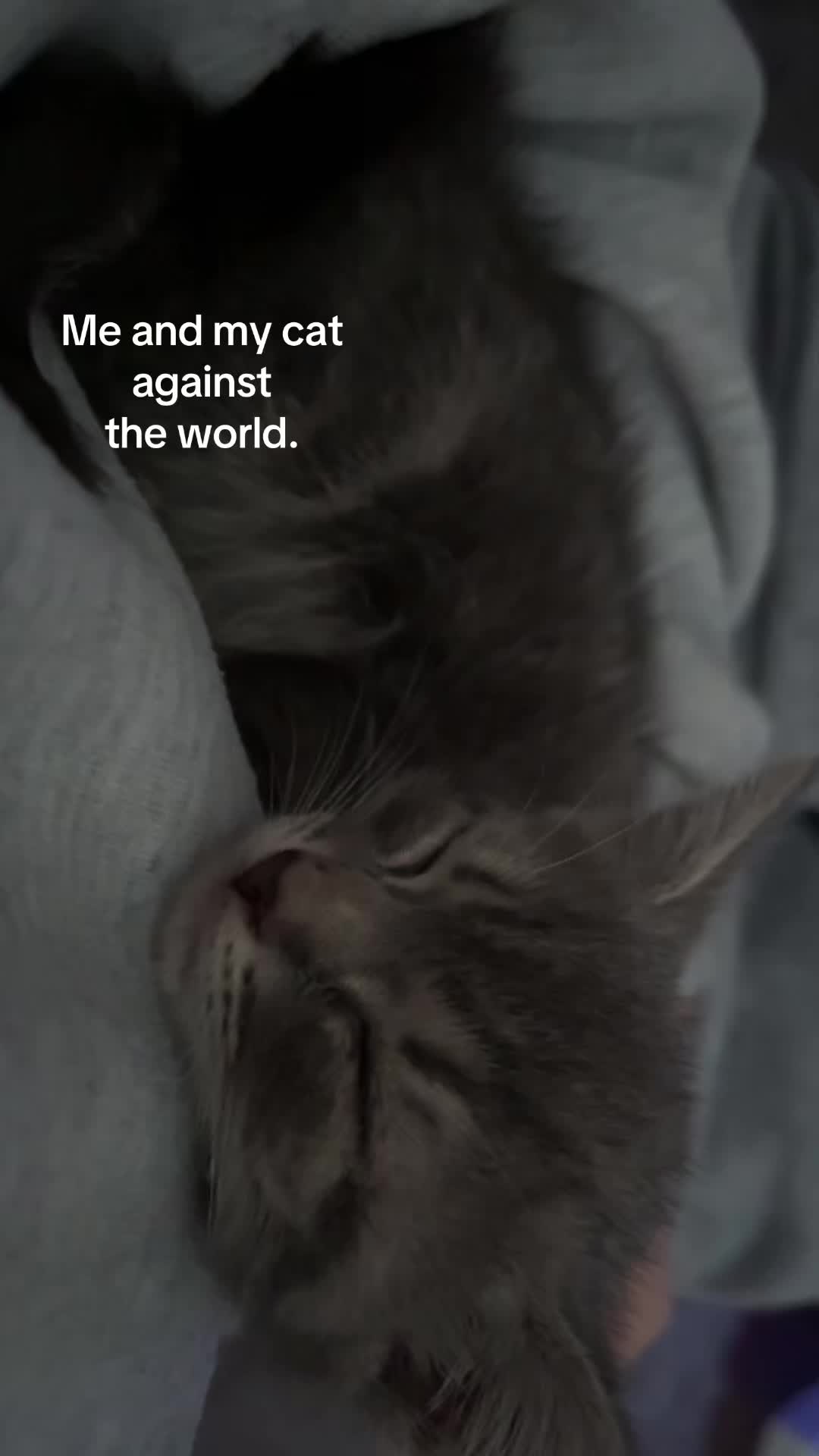 @⭐️
