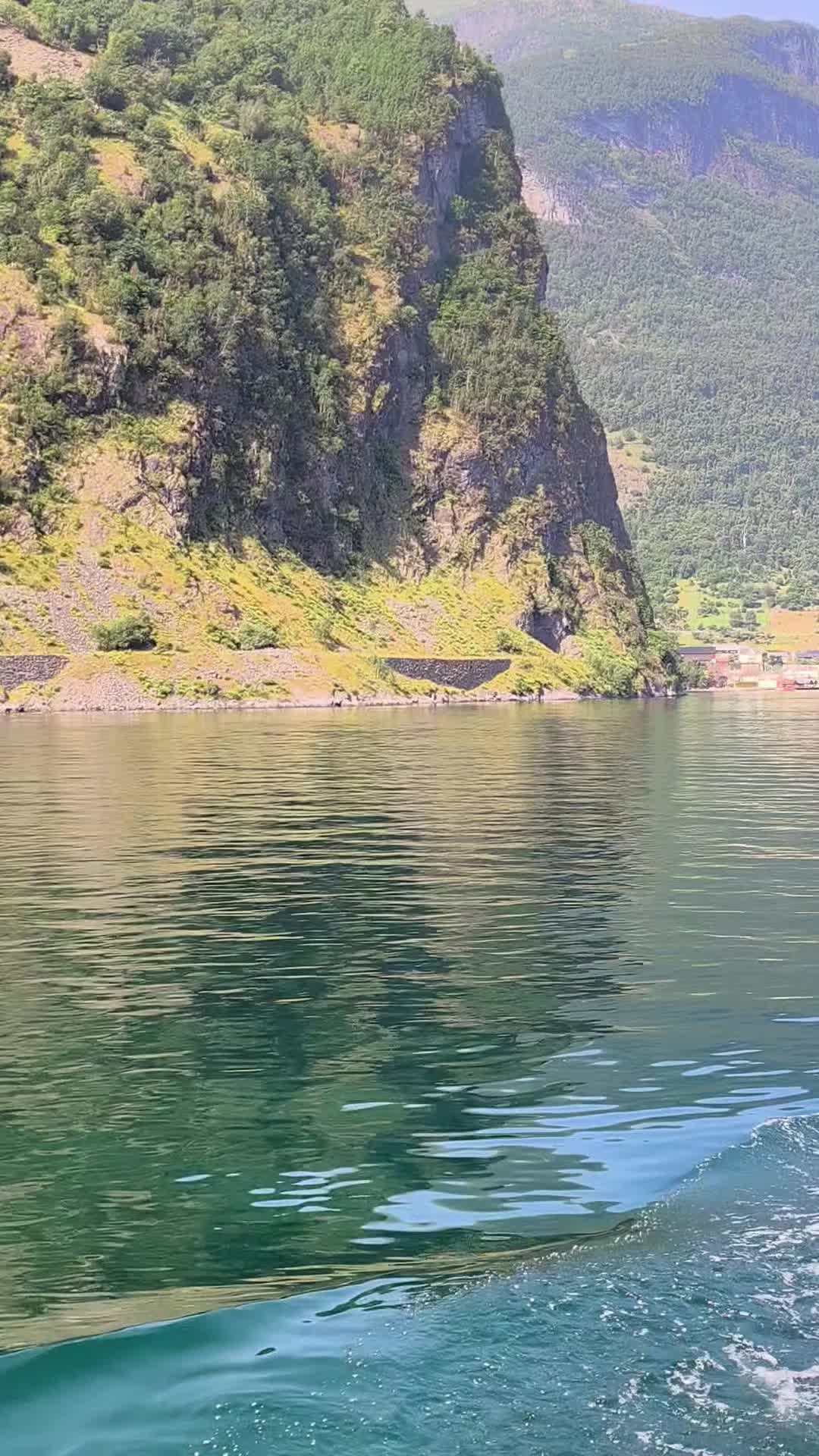 @Massimo 🇮🇹