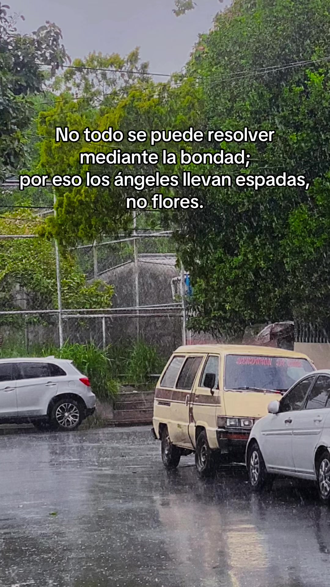 @Rafael Torres