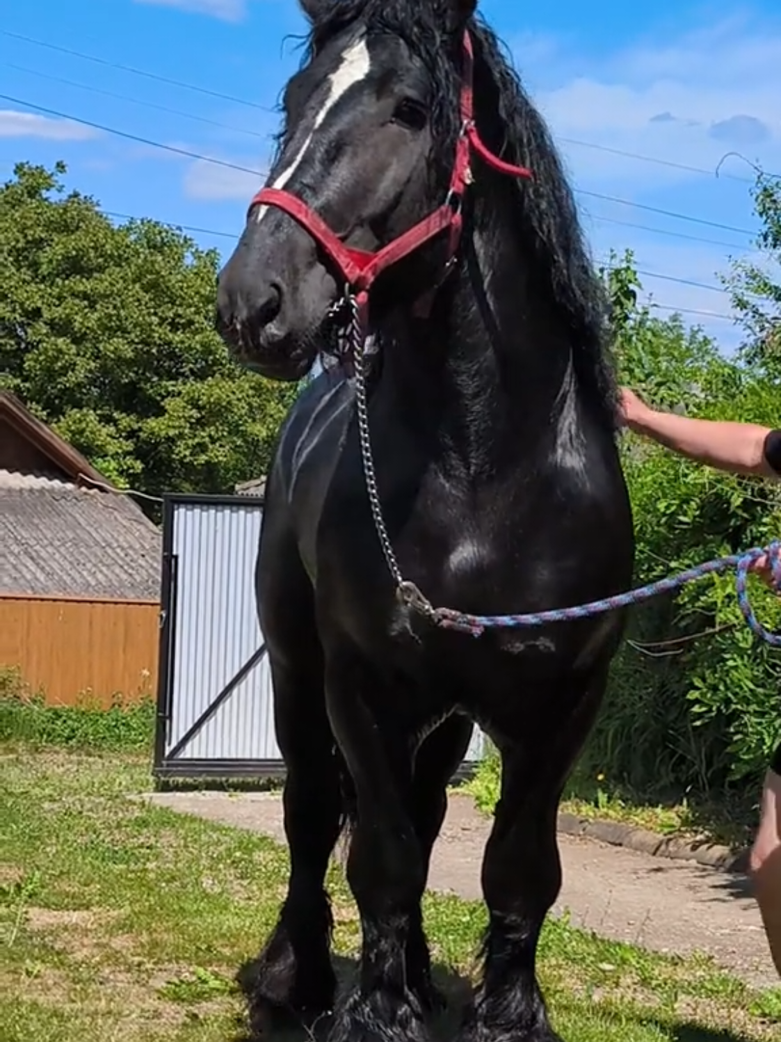 @ВАСЯ БОЙЧУК 🐎