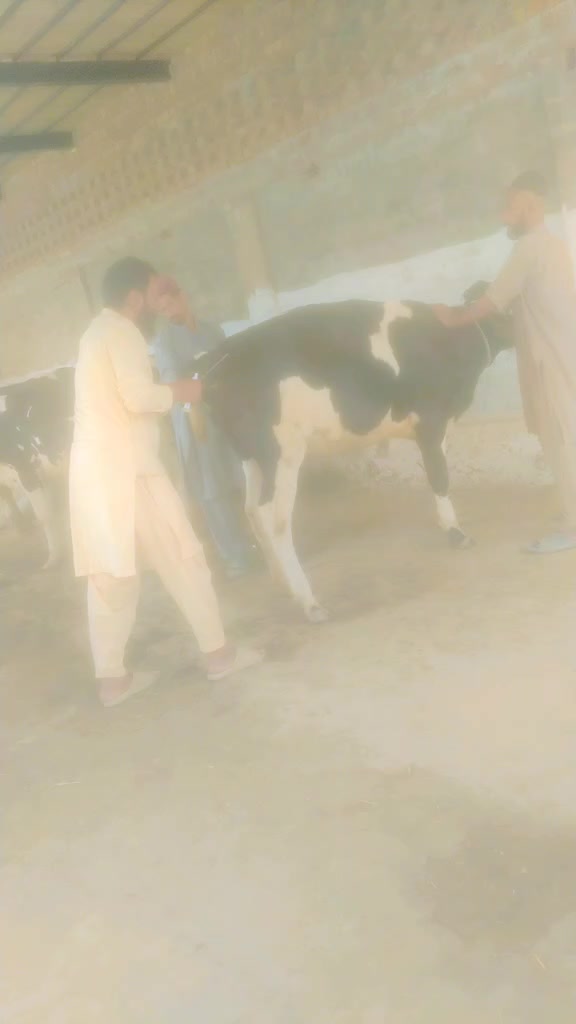 @Zaid khokhar
