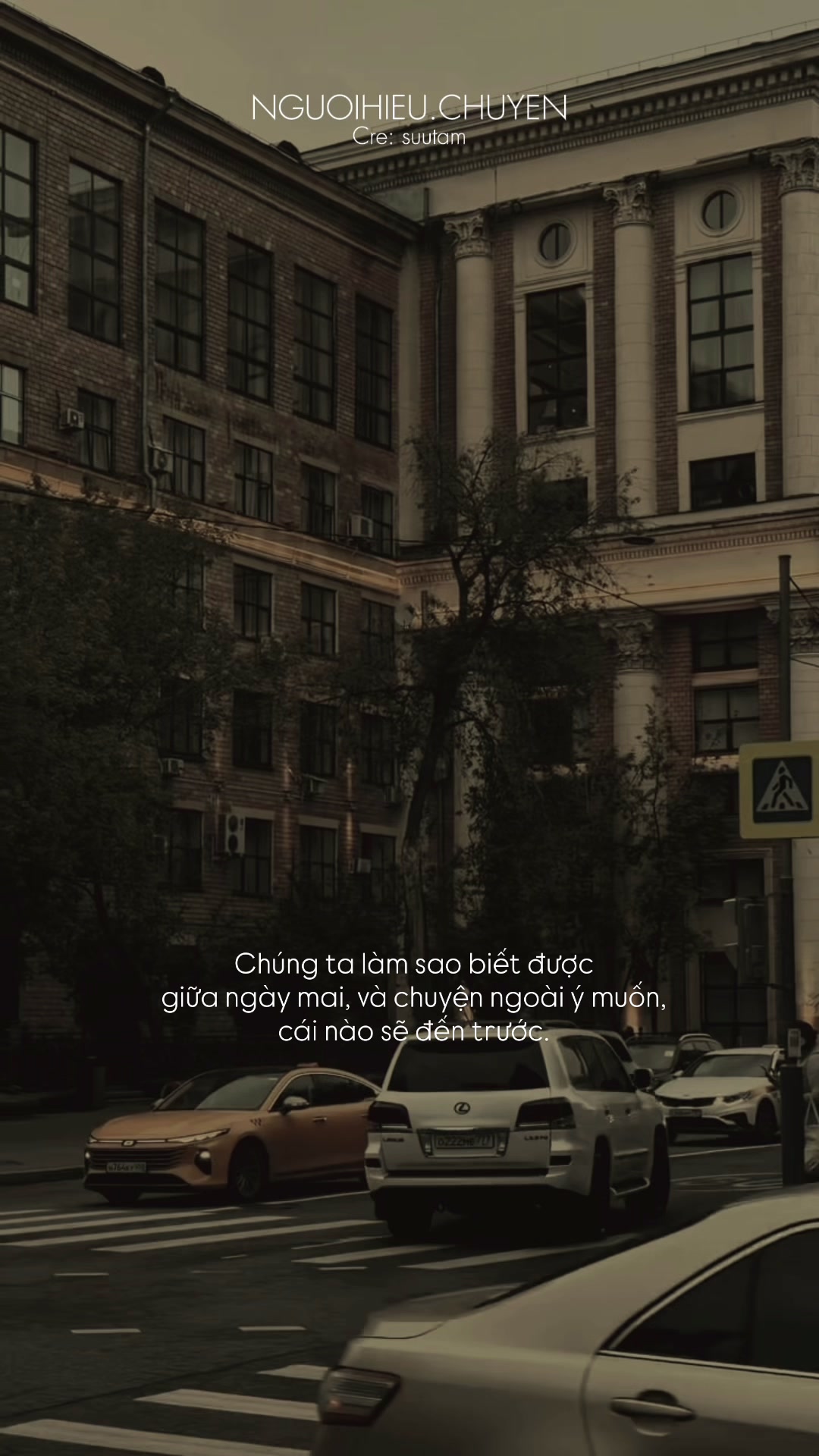 @Người Hiểu Chuyện