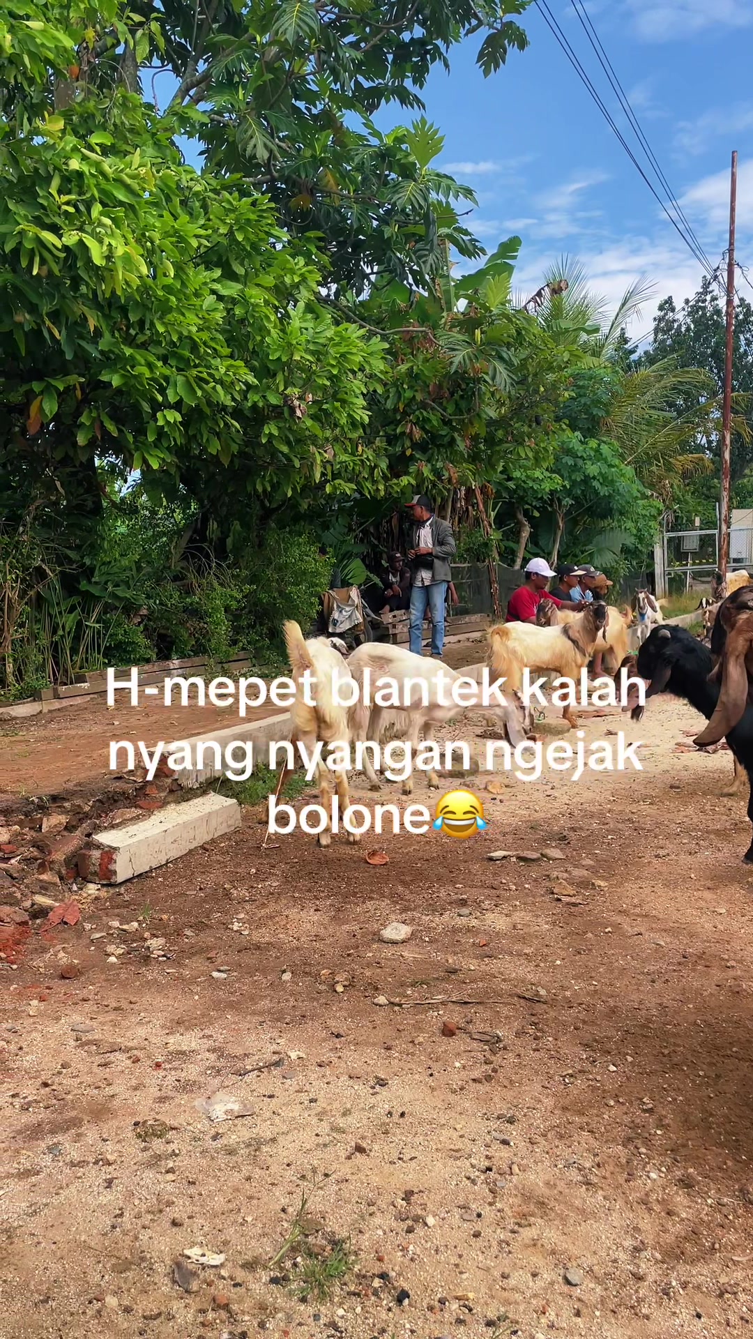 @RLANGGA