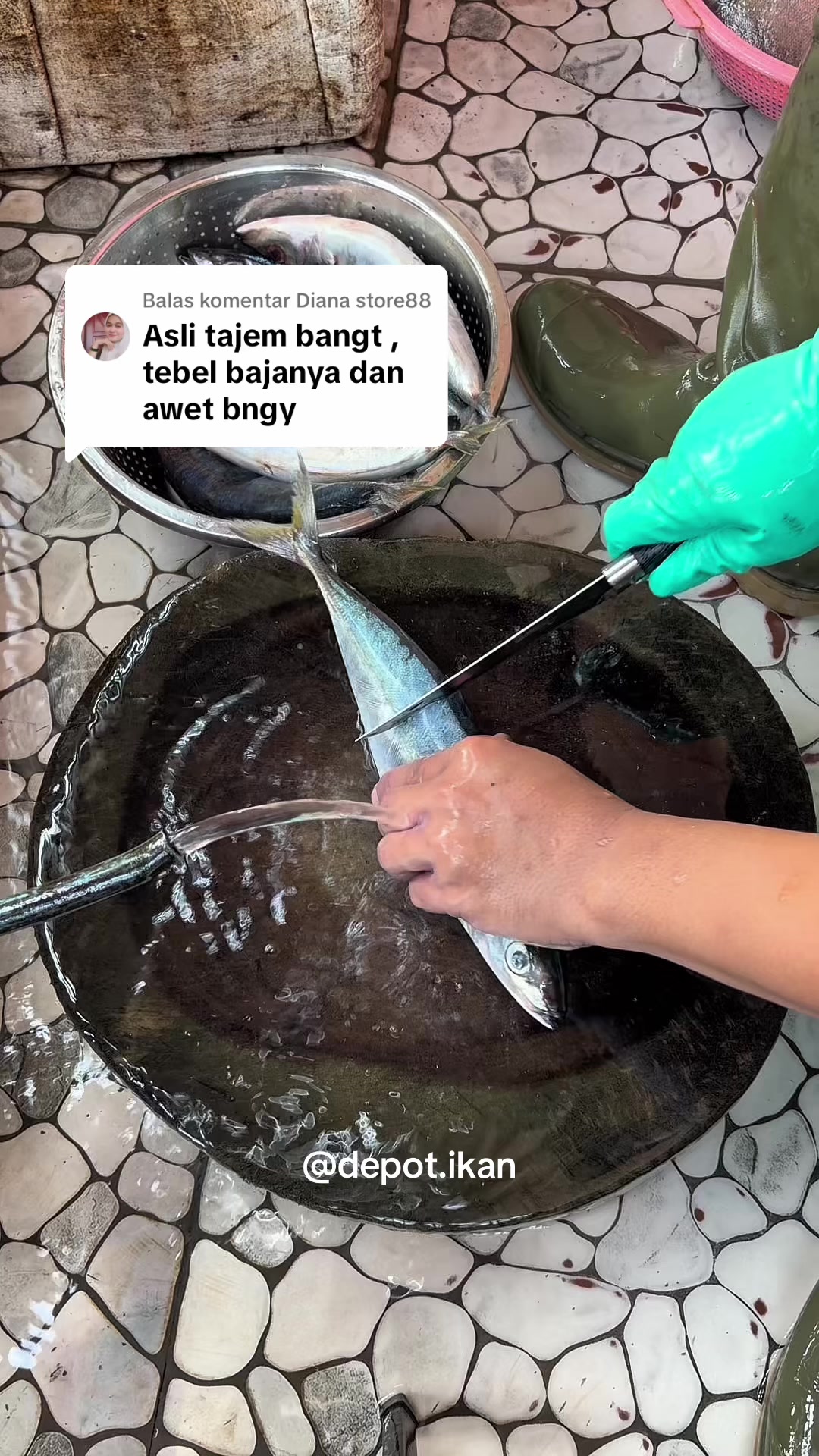 @Depot Ikan