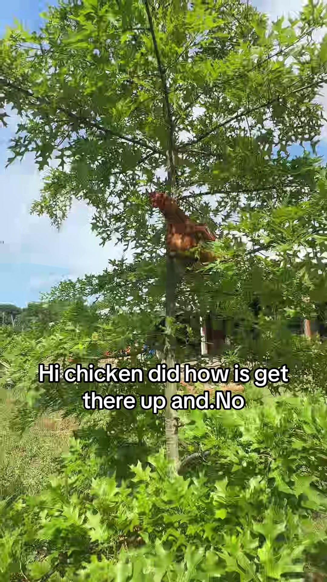 @No