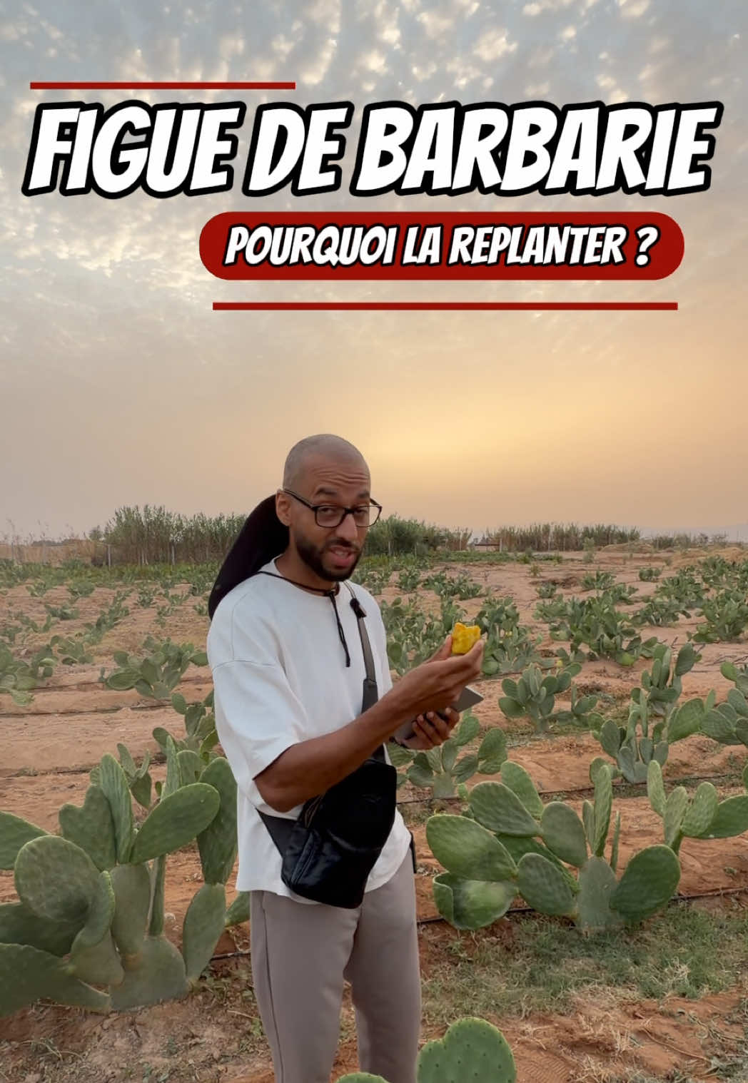 @Mehdi Chafiai