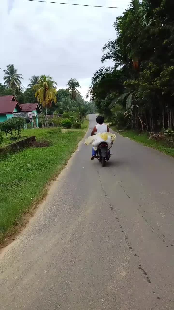 @Parsumbul Julu