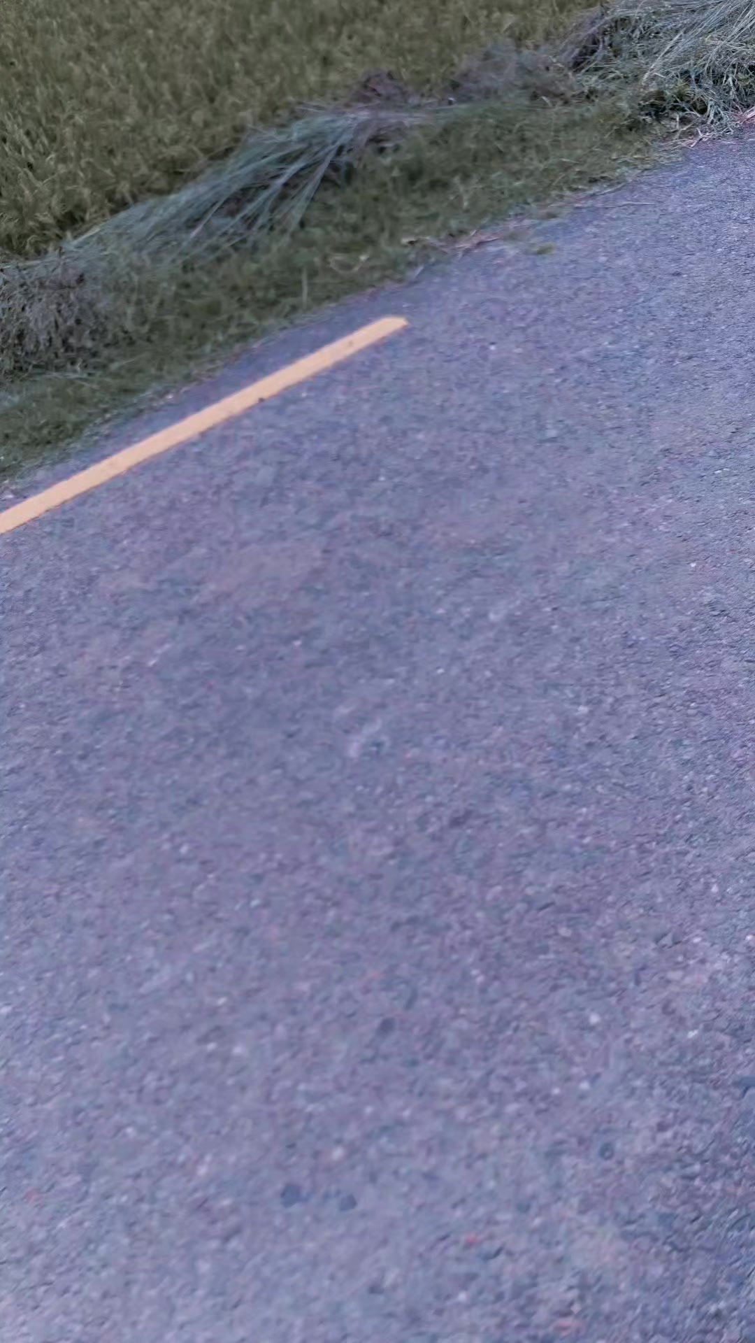 @Šêłfî ŘÔÿ