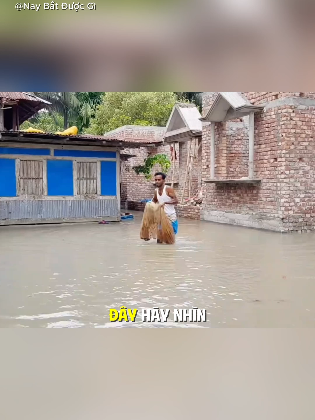 @Nay Bắt Được G&igrave;
