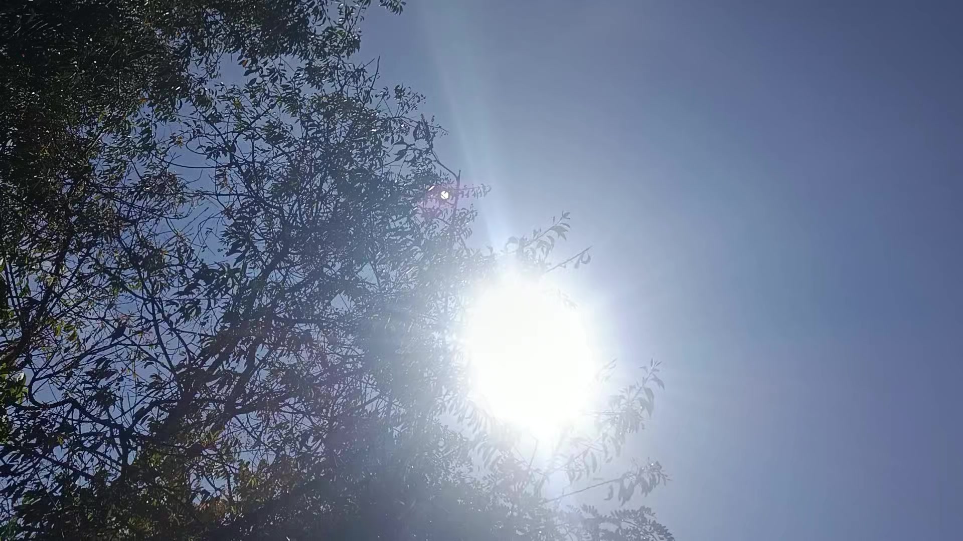 @Mar&iacute;a_leo