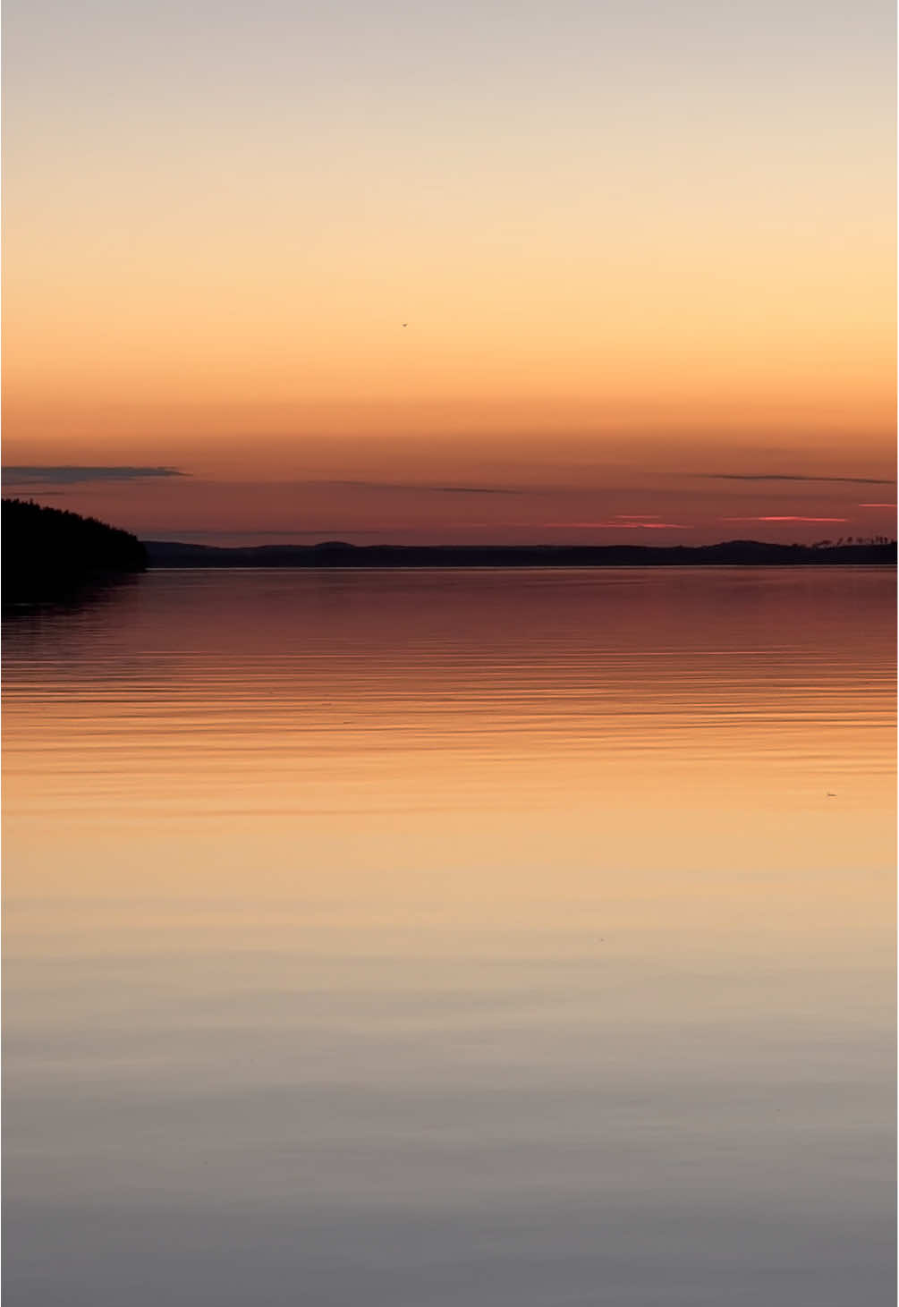 @Ansku 🇫🇮