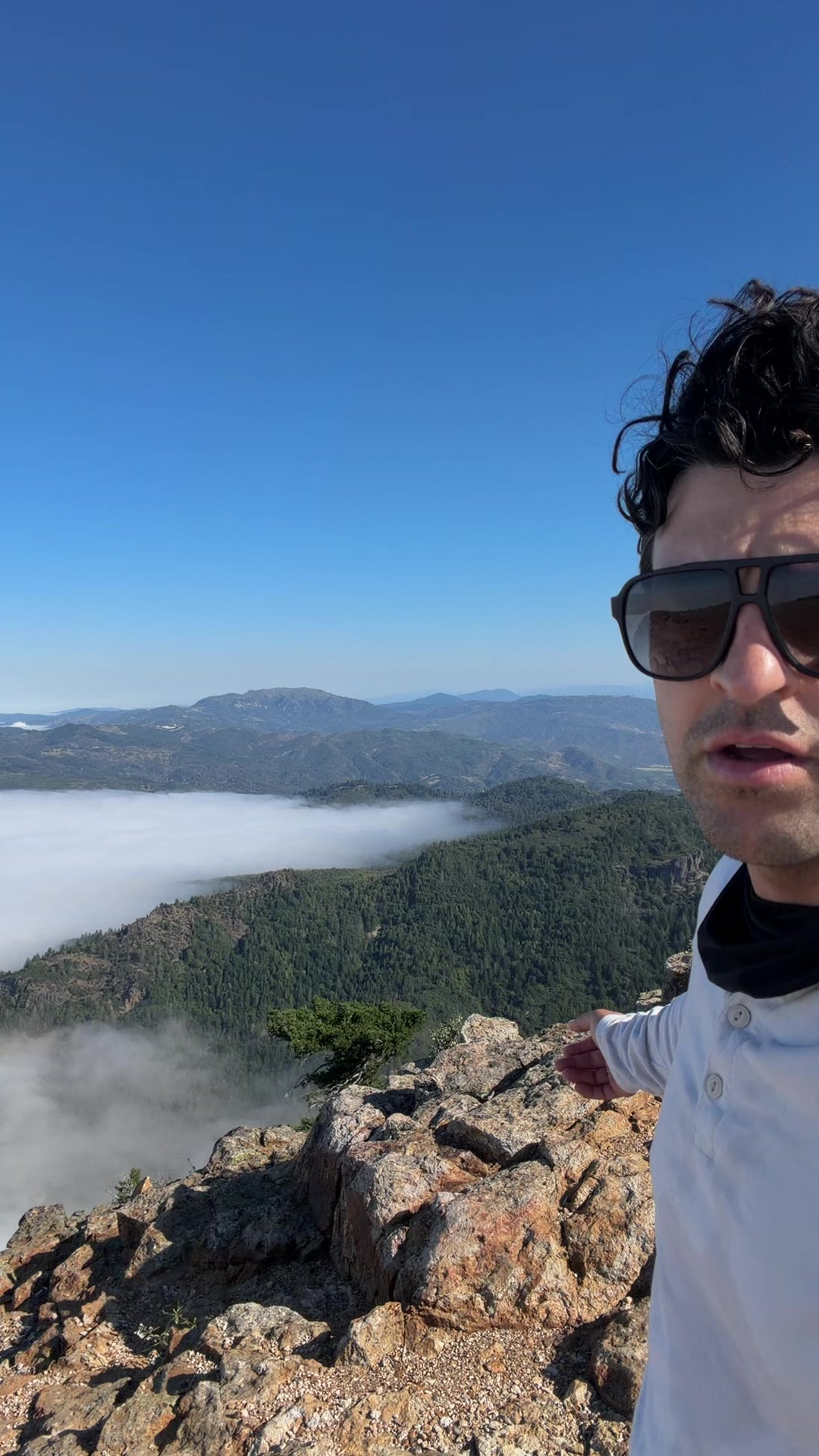 @mustafa.tolosa